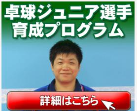 junior-ikusei