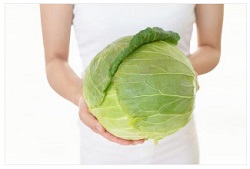 キャベツ