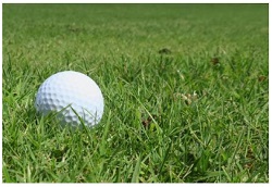ゴルフボール
